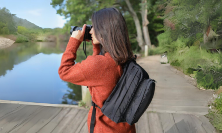 Tiffen Intro’s New Domke Sling Bag, Black Vest and Tech Pouch